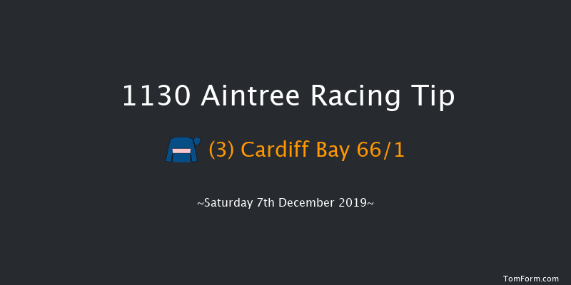Aintree 11:30 Maiden Hurdle (Class 3) 17f Sat 9th Nov 2019