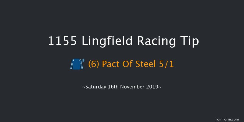 Lingfield 11:55 Handicap (Class 6) 8f Tue 12th Nov 2019
