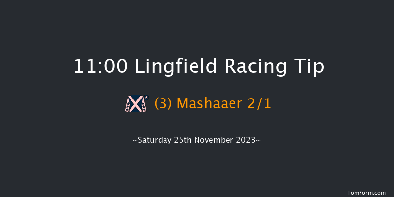 Lingfield 11:00 Stakes (Class 5) 8f Tue 21st Nov 2023