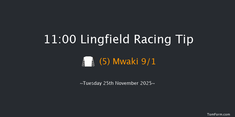 Lingfield 11:00 (Class 5) 5f Thu 20th Nov 2025
