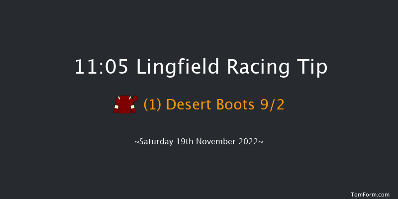 Lingfield 11:05 Handicap (Class 6) 7f Tue 15th Nov 2022