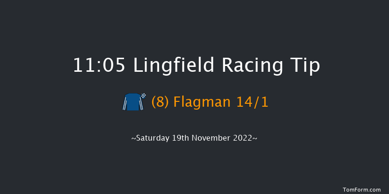 Lingfield 11:05 Handicap (Class 6) 7f Tue 15th Nov 2022