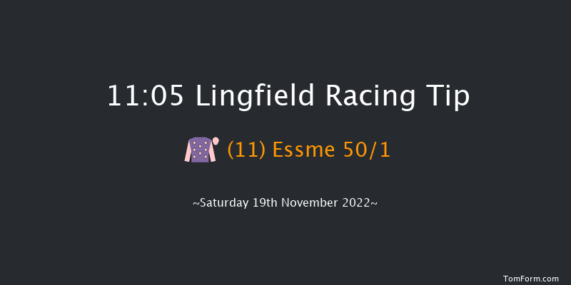 Lingfield 11:05 Handicap (Class 6) 7f Tue 15th Nov 2022