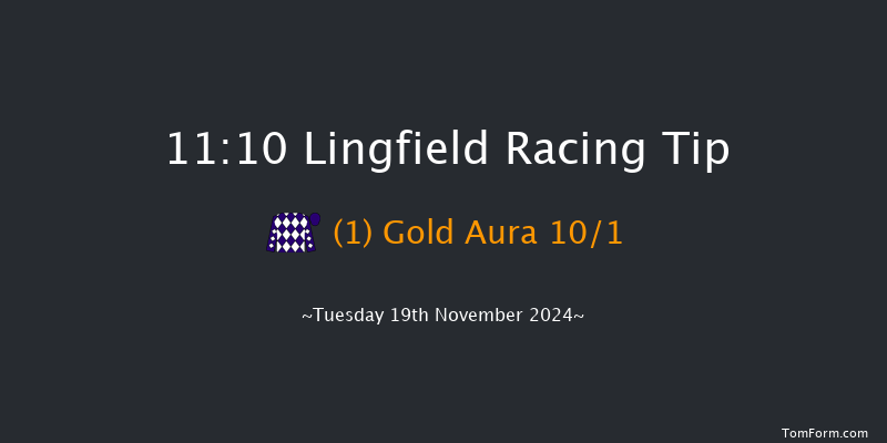 Lingfield  11:10 Handicap (Class 6) 16f Wed 13th Nov 2024