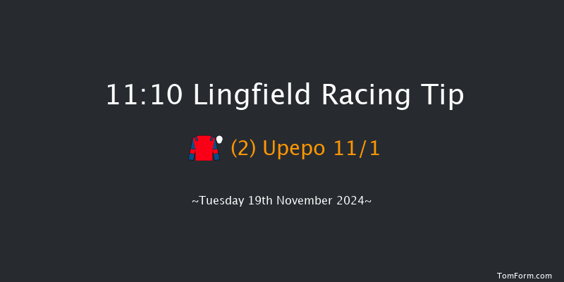 Lingfield  11:10 Handicap (Class 6) 16f Wed 13th Nov 2024