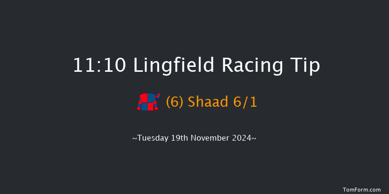 Lingfield  11:10 Handicap (Class 6) 16f Wed 13th Nov 2024