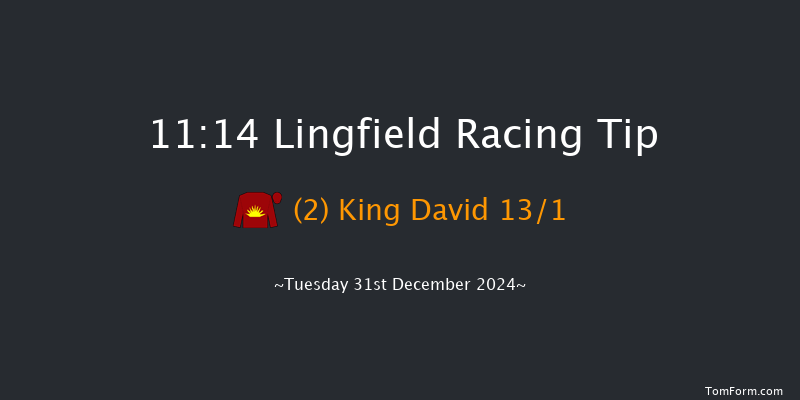 Lingfield  11:14 Handicap (Class 5) 8f Sun 22nd Dec 2024
