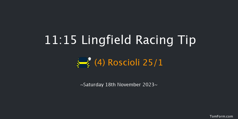 Lingfield 11:15 Handicap (Class 6) 8f Tue 14th Nov 2023