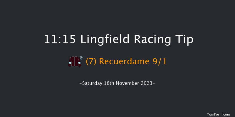 Lingfield 11:15 Handicap (Class 6) 8f Tue 14th Nov 2023