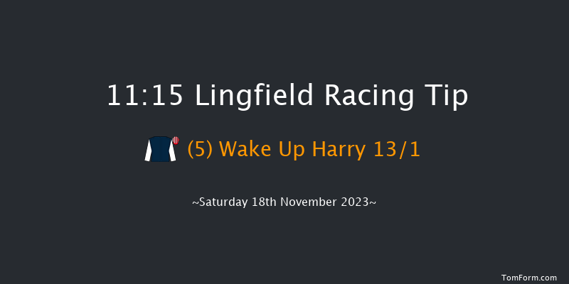 Lingfield 11:15 Handicap (Class 6) 8f Tue 14th Nov 2023