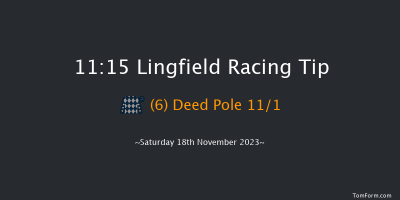 Lingfield 11:15 Handicap (Class 6) 8f Tue 14th Nov 2023