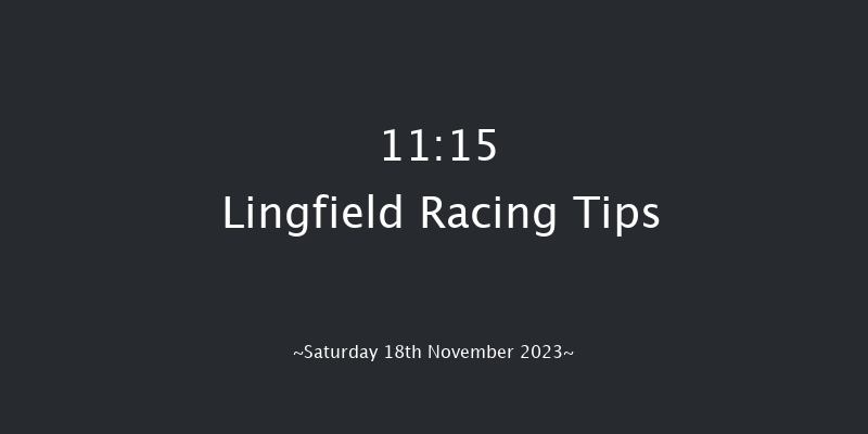 Lingfield 11:15 Handicap (Class 6) 8f Tue 14th Nov 2023