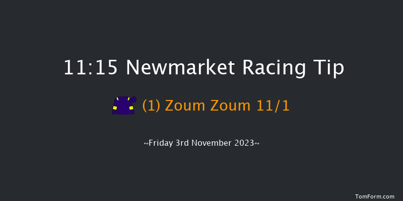 Newmarket 11:15 Stakes (Class 4) 7f Sat 14th Oct 2023