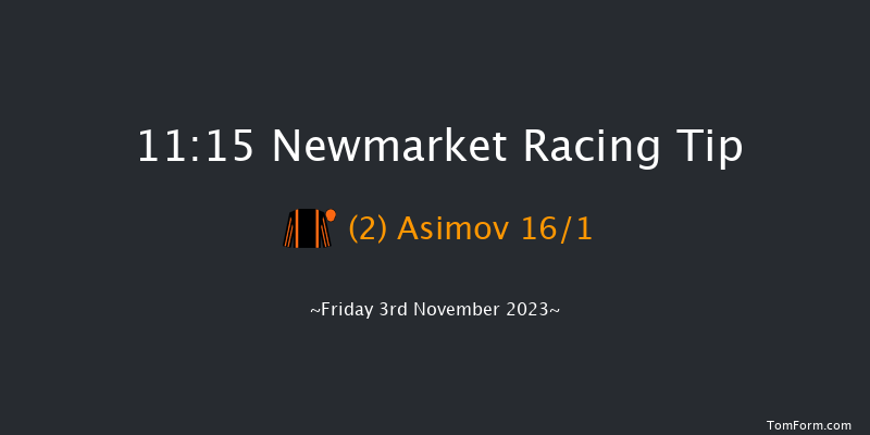Newmarket 11:15 Stakes (Class 4) 7f Sat 14th Oct 2023
