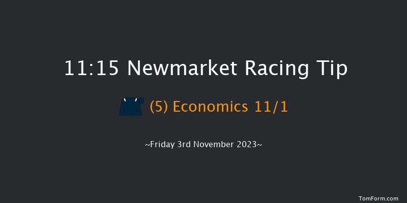 Newmarket 11:15 Stakes (Class 4) 7f Sat 14th Oct 2023