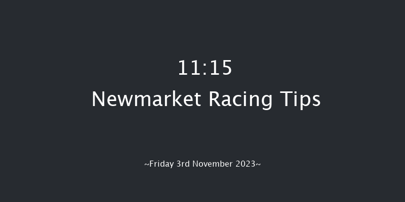 Newmarket 11:15 Stakes (Class 4) 7f Sat 14th Oct 2023