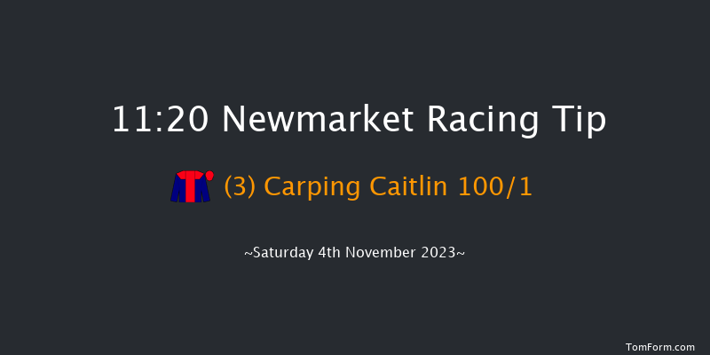 Newmarket 11:20 Stakes (Class 4) 7f Fri 3rd Nov 2023