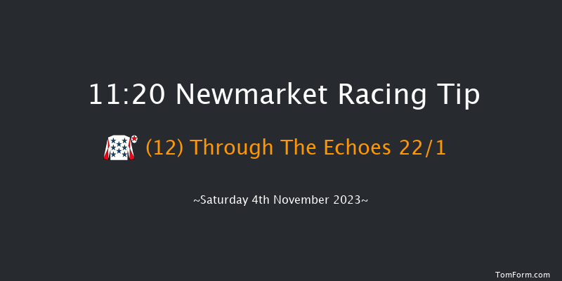 Newmarket 11:20 Stakes (Class 4) 7f Fri 3rd Nov 2023