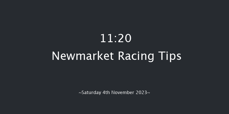 Newmarket 11:20 Stakes (Class 4) 7f Fri 3rd Nov 2023