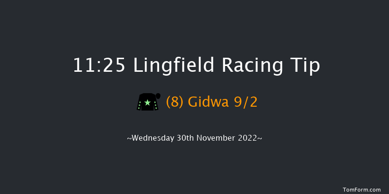 Lingfield 11:25 Handicap (Class 5) 7f Tue 29th Nov 2022