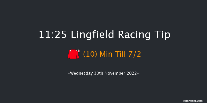 Lingfield 11:25 Handicap (Class 5) 7f Tue 29th Nov 2022