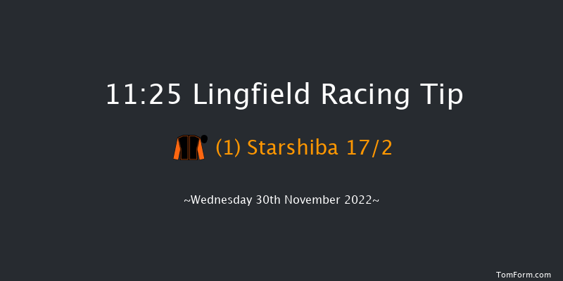 Lingfield 11:25 Handicap (Class 5) 7f Tue 29th Nov 2022