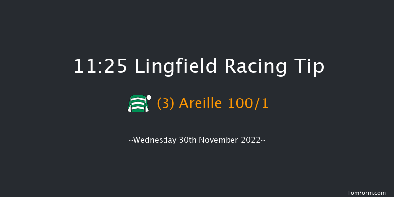 Lingfield 11:25 Handicap (Class 5) 7f Tue 29th Nov 2022