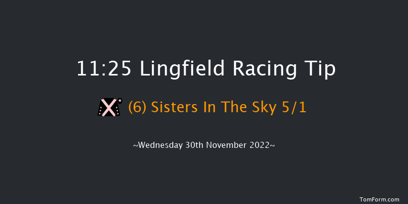 Lingfield 11:25 Handicap (Class 5) 7f Tue 29th Nov 2022