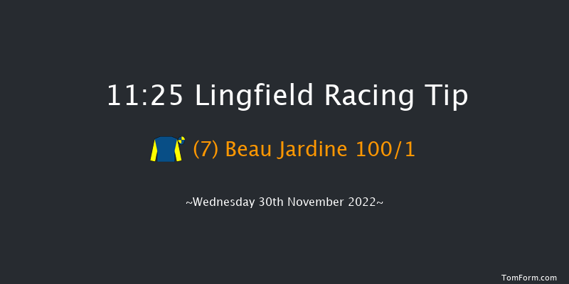 Lingfield 11:25 Handicap (Class 5) 7f Tue 29th Nov 2022