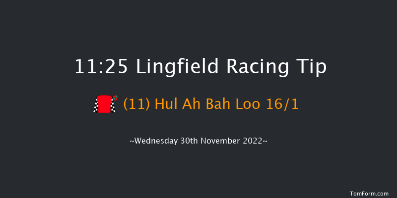 Lingfield 11:25 Handicap (Class 5) 7f Tue 29th Nov 2022