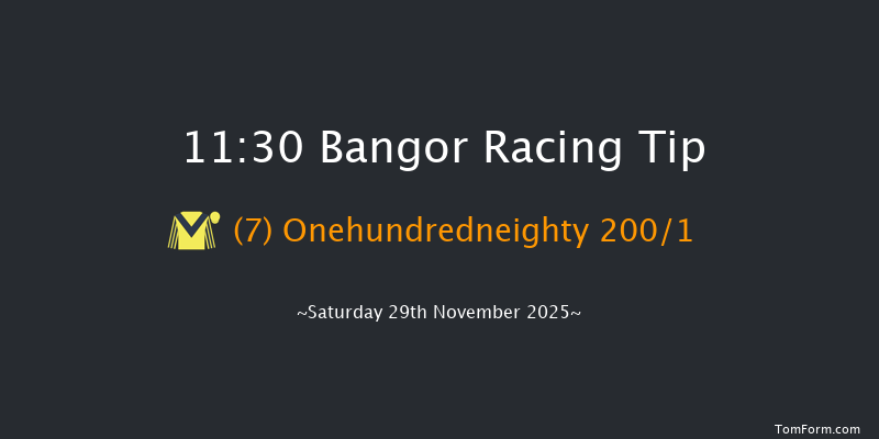 Bangor 11:30 (Class 3) 16f Wed 12th Nov 2025