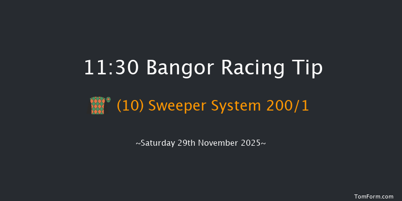 Bangor 11:30 (Class 3) 16f Wed 12th Nov 2025