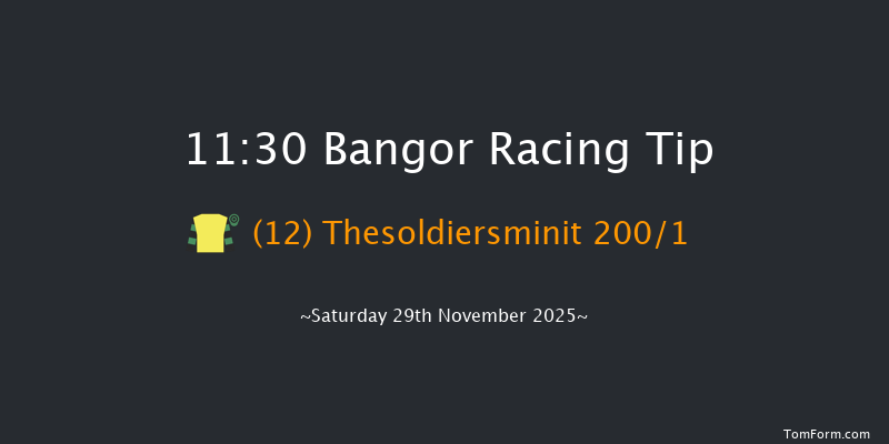 Bangor 11:30 (Class 3) 16f Wed 12th Nov 2025