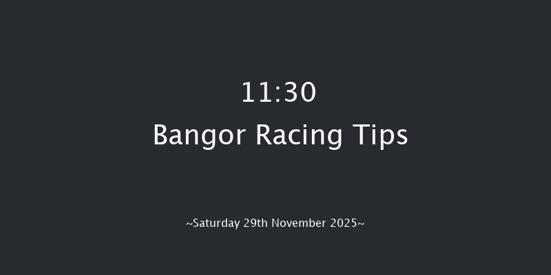 Bangor 11:30 (Class 3) 16f Wed 12th Nov 2025