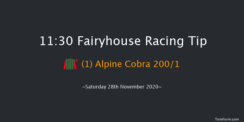 Jim Ryan Racecourse Services Beginners Chase Fairyhouse 11:30 Maiden Chase 21f Fri 13th Nov 2020