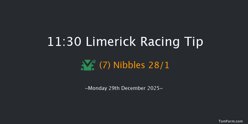 Limerick 11:30 22f Sun 28th Dec 2025