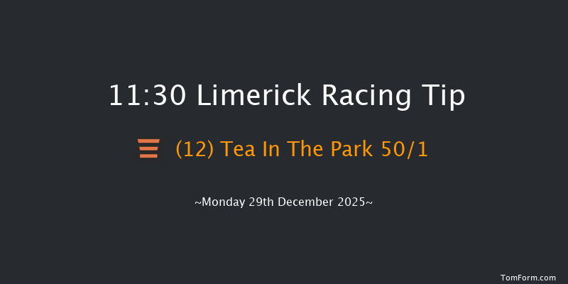 Limerick 11:30 22f Sun 28th Dec 2025