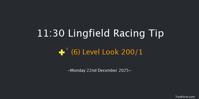 Lingfield 11:30 (Class 5) 8f Sun 21st Dec 2025