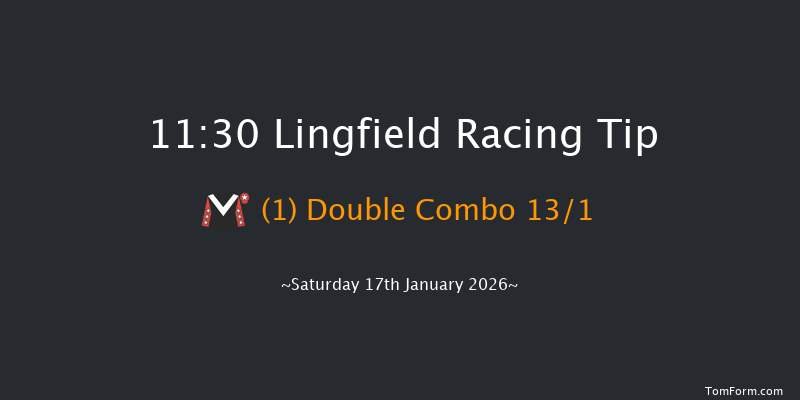 Lingfield 11:30 (Class 5) 10f Wed 14th Jan 2026