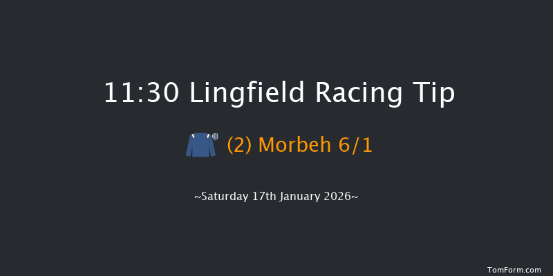 Lingfield 11:30 (Class 5) 10f Wed 14th Jan 2026