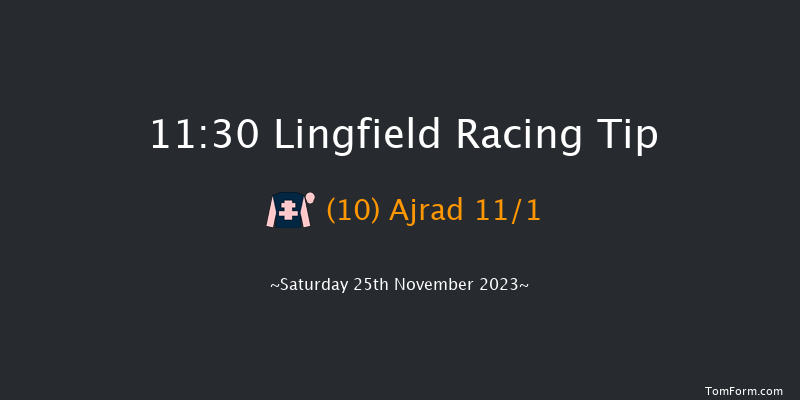 Lingfield 11:30 Handicap (Class 6) 7f Tue 21st Nov 2023