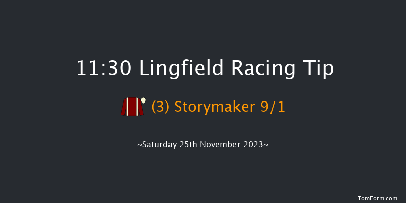 Lingfield 11:30 Handicap (Class 6) 7f Tue 21st Nov 2023