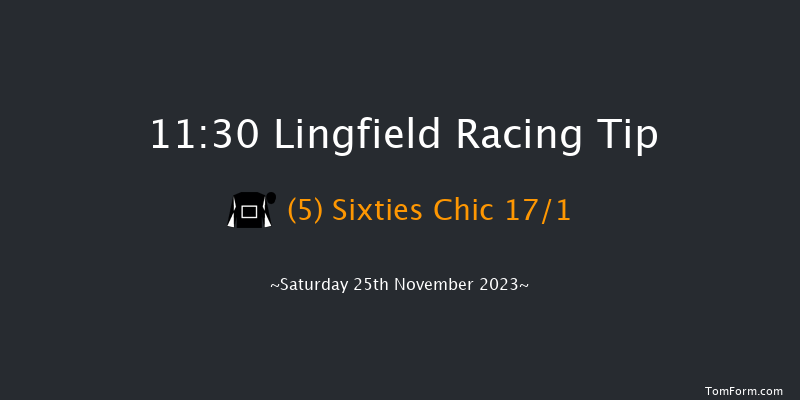 Lingfield 11:30 Handicap (Class 6) 7f Tue 21st Nov 2023