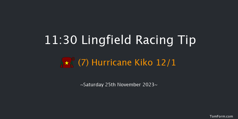 Lingfield 11:30 Handicap (Class 6) 7f Tue 21st Nov 2023