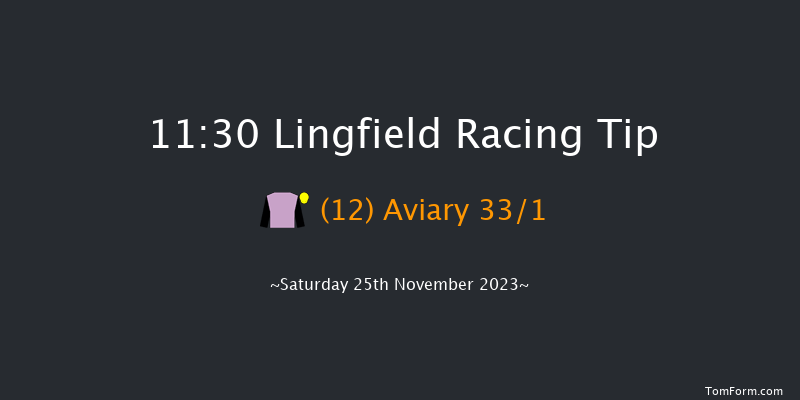 Lingfield 11:30 Handicap (Class 6) 7f Tue 21st Nov 2023