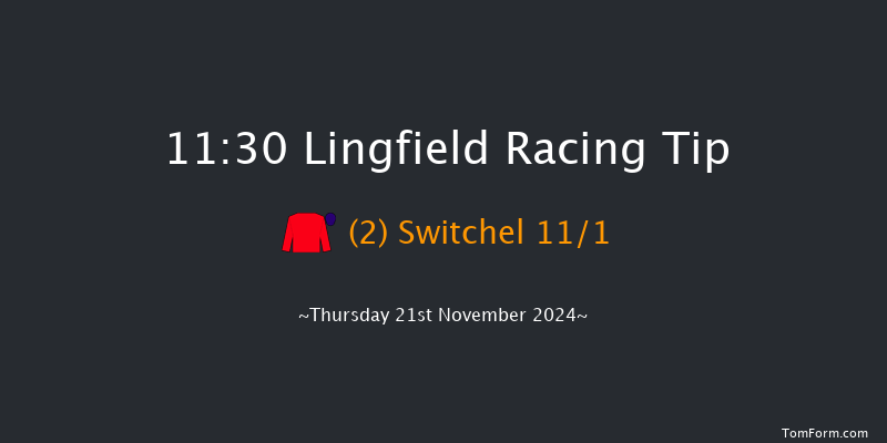 Lingfield  11:30 Handicap (Class 5) 12f Tue 19th Nov 2024
