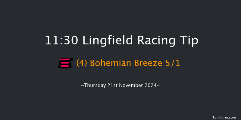 Lingfield  11:30 Handicap (Class 5) 12f Tue 19th Nov 2024