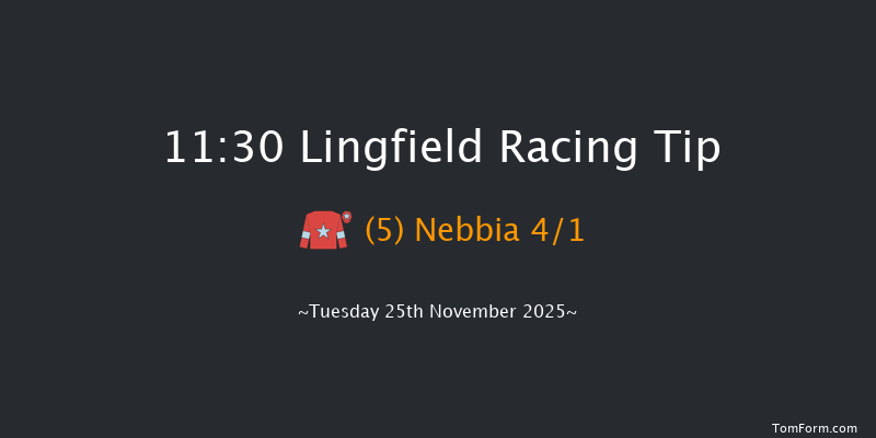 Lingfield 11:30 (Class 5) 6f Thu 20th Nov 2025