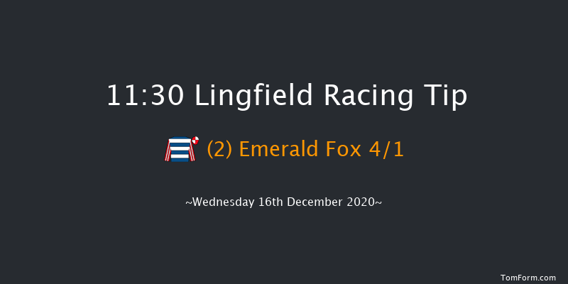 Bombardier 'March To Your Own Drum' Handicap Lingfield 11:30 Handicap (Class 6) 8f Sun 13th Dec 2020