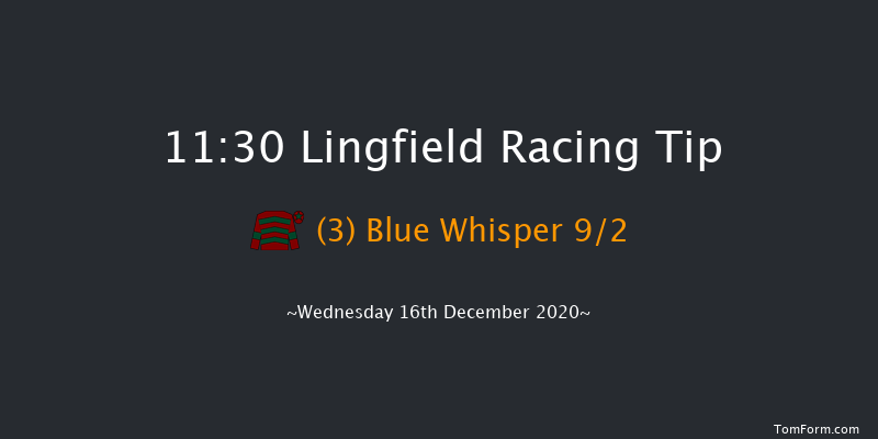 Bombardier 'March To Your Own Drum' Handicap Lingfield 11:30 Handicap (Class 6) 8f Sun 13th Dec 2020